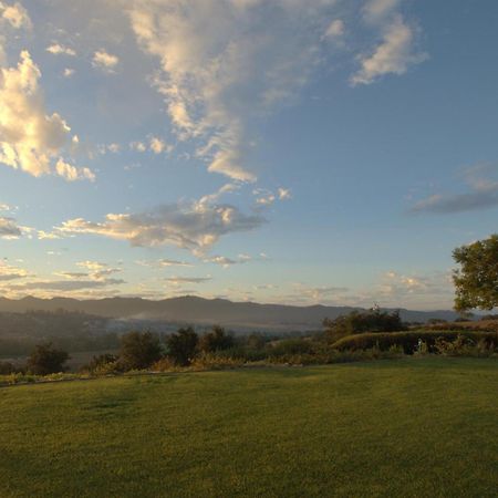 The Casitas Of Arroyo Grande Bed & Breakfast Exterior photo